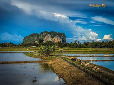 5 Sebab Kampung Adalah Lokasi Terbaik Hasilkan Gambar Landskap Cantik Guna Smartphone