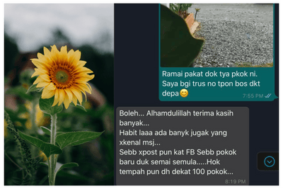 Cuma Rakam Video Dengan Henfon Tak Sangka Dapat 100 Tempahan Baru