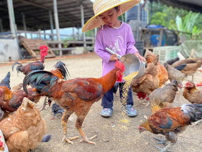 Ajar Anak Tidak Malu Kerja Kotor, Satu Hari Nanti Mereka Tak Jijik Menjaga Kita Di Waktu Kita Pikun