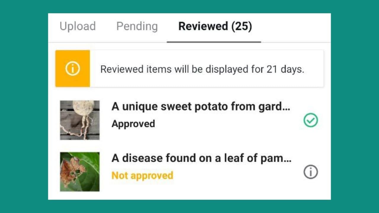 3 Tips Untuk Pastikan Gambar Kita Upload Lulus Di Shutterstock - Saiful Nang Academy
